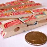 Decorative Clothespins, Large Paisley And Floral..
